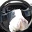 2013-ford-f250-image-17