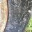 #2566-•-case-730-gas-wide-front-tractor-image-12