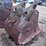 john-deere-250-image-3