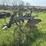 deering-14”-one-bottom-sulky-plow-image-7