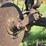 international-14-image-9