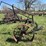 walking-plow-with-steel-wheels-&-trip-lift-image-6