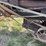 altman-taylor-threshing-machine-image-34