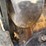 caterpillar-226b3-image-40