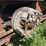 holt-caterpillar-pull-type-combine-image-9