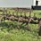 ihc-7ft-field-cultivator-image-4