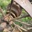 case-two-bottom-14”-pull-type-plow-image-10