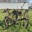 horse-drawn-cultivator-image-4