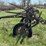four-shank-field-cultivator-image-7
