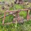 #2613-•-(10)-wheel-v-rake-image-13