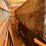 wagon-image-6