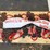 #60-•-8-unused-5/16”-7ft-g80-double-chain-slings-image-1