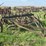 ihc-7ft-field-cultivator-image-1