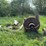 blizzard-no.-400-ensilage-blower-image-2