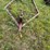 #2658-•-tandem-axle-28'-trailer-frame-image-14