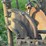 ihc-2-bottom-disc-plow-image-9