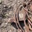 unknown-unknown-image-6