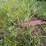 #2640-•-husty-225-gravity-box-image-19