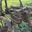two-bottom-plow-image-12