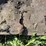 owatonna-330-image-22