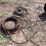 unknown-unknown-image-1