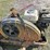 2018-graco-linelazer-v-200hs-hp-airless-line-striper-image-13