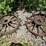 f&h-steel-wheels-image-1
