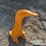caterpillar-307-image-4