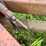 #2621-•-wil-rich-27'-field-cultivator-image-29
