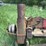 blizzard-no.-400-ensilage-blower-image-12
