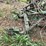 john-deere-5-image-10