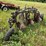 #2651-•-john-deere-(3)-bottom-plow-image-19