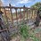 #2590-•-(4)-farm-shop-self-locking-head-gates-image-6