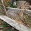 #2591-•-(4)-sections-of-j-bunk-image-7