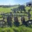oliver-heavy-duty-3-blade-pull-type-disk-plow-image-2