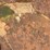 oliver-heavy-duty-3-blade-pull-type-disk-plow-image-5