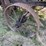 altman-taylor-threshing-machine-image-29