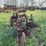 two-bottom-plow-image-4