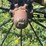 john-deere-pull-type-field-cultivator-image-3