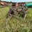 #2651-•-john-deere-(3)-bottom-plow-image-1