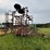 #2621-•-wil-rich-27'-field-cultivator-image-5