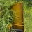 turf-blazer-321-image-44