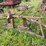 #2613-•-(10)-wheel-v-rake-image-12