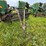 john-deere-5-image-2
