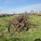 ihc-10ft-field-cultivator-image-2