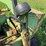 owatonna-330-image-27