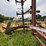 #2621-•-wil-rich-27'-field-cultivator-image-20