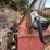 #2594-•-250-gallon-tank-image-8