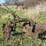 john-deere-12-image-3