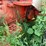 #2566-•-case-730-gas-wide-front-tractor-image-17